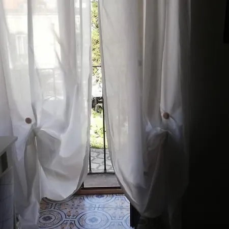 Panzió Phenicusa